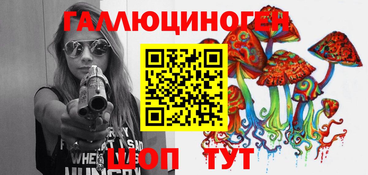 Галлюциногенные грибы Psilocybine cubensis Михайловск