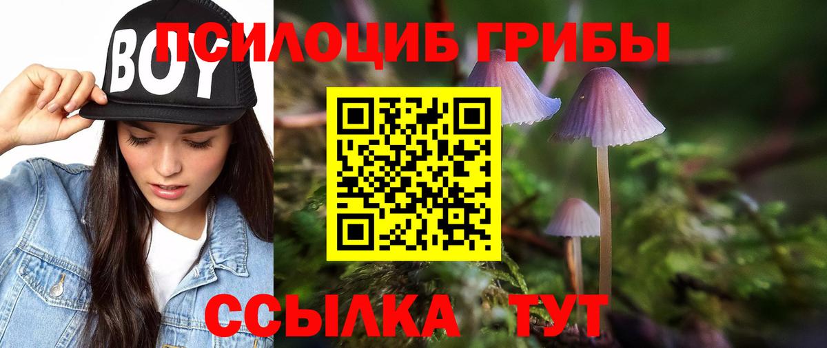 Псилоцибиновые грибы мухоморы  Галлюциногенные грибы Cubensis  Михайловск  Вход с VPN 